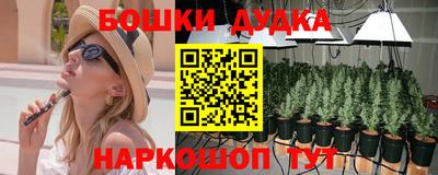 молекула духа Ликино-Дулёво