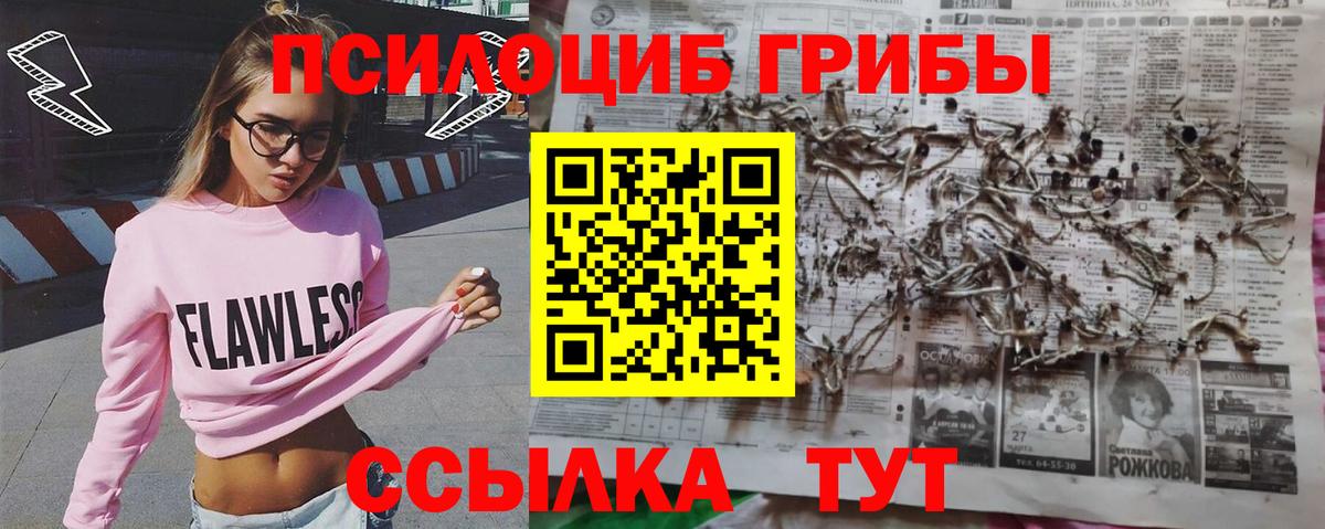 Галлюциногенные грибы Psilocybine cubensis Димитровград